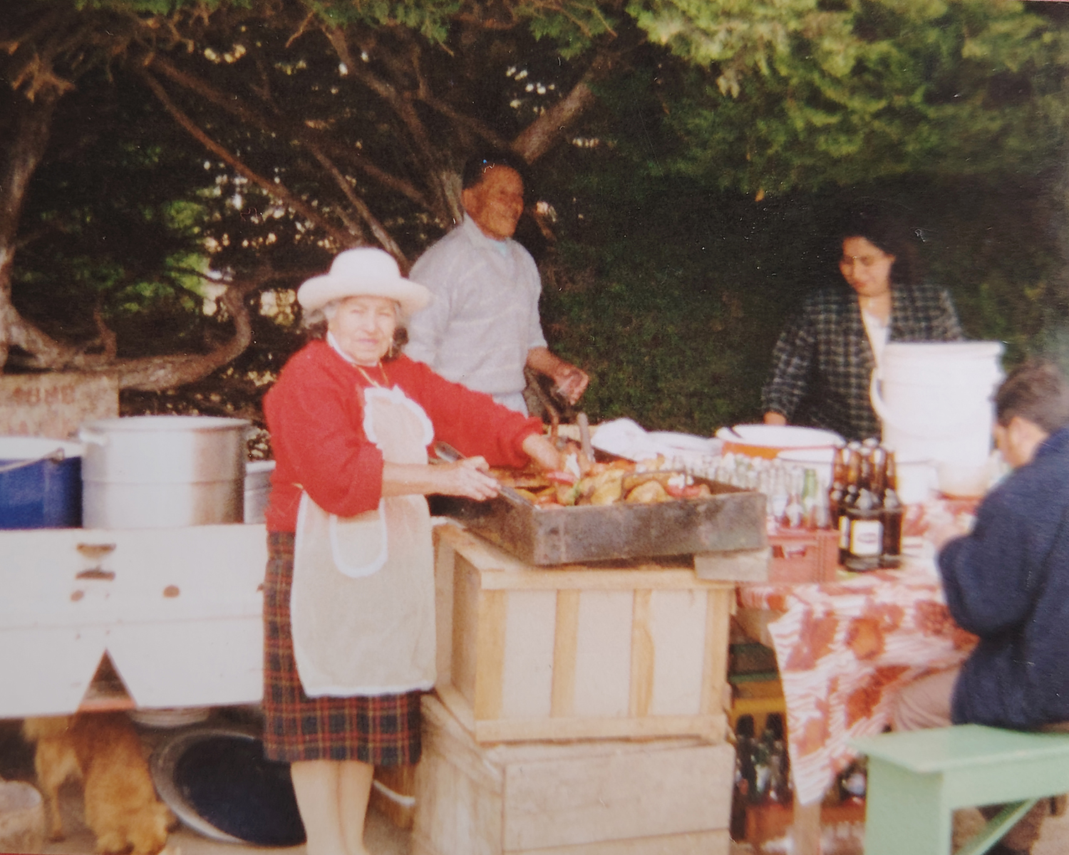 Plato tradicional ecuatoriano